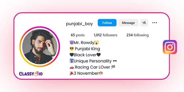 Best Instagram Bio for Punjabi Boys