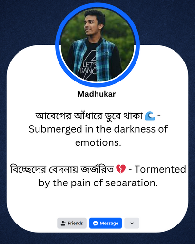 Sad Facebook Bio Bangla