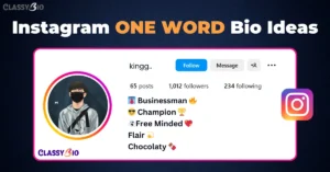 One Word Bio for Instagram