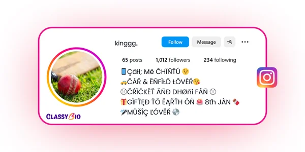 Instagram Bio for Cricket Lovers