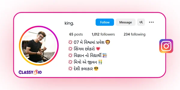 Gujarati Instagram Bio for Boys