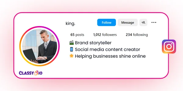 instagram bio for digital marketer