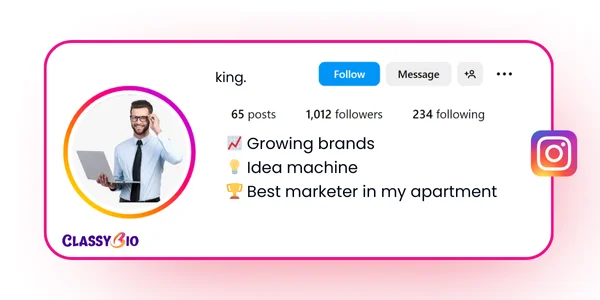 digital marketing bio for instagram