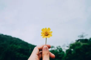 Growth Mindset