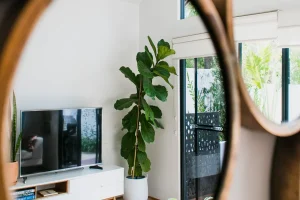 Top 5 Reasons to Choose a Lifely Standing Mirror for Your Home