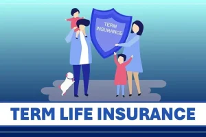 Life Insurance Plan