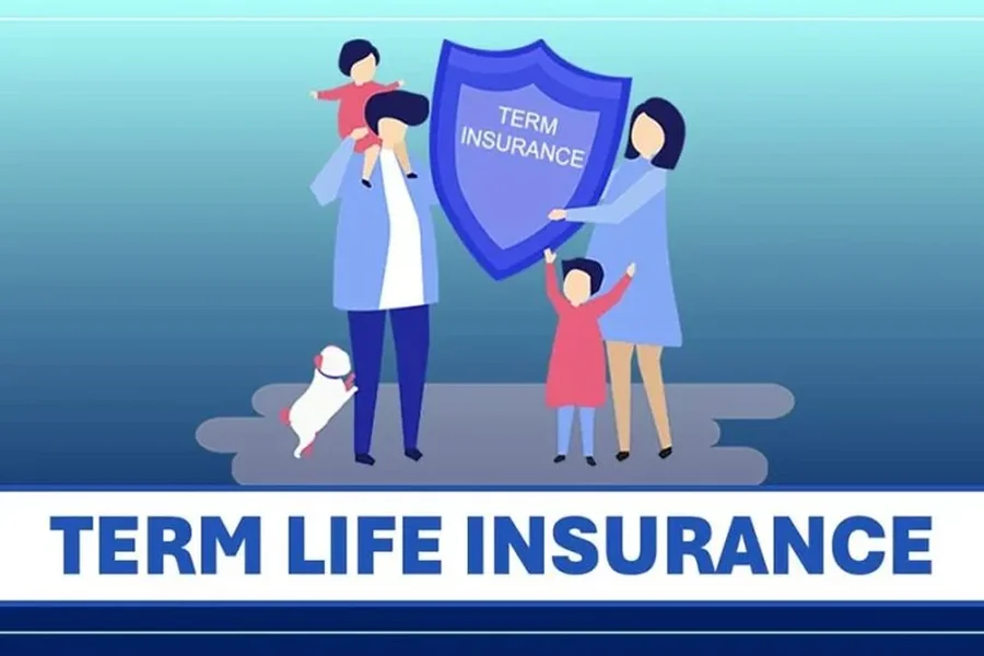 Life Insurance Plan